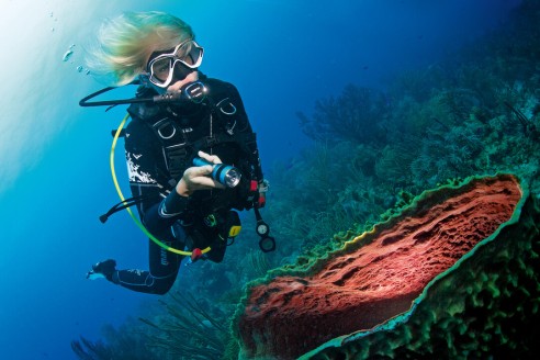 PADI Advanced Open Water Diver