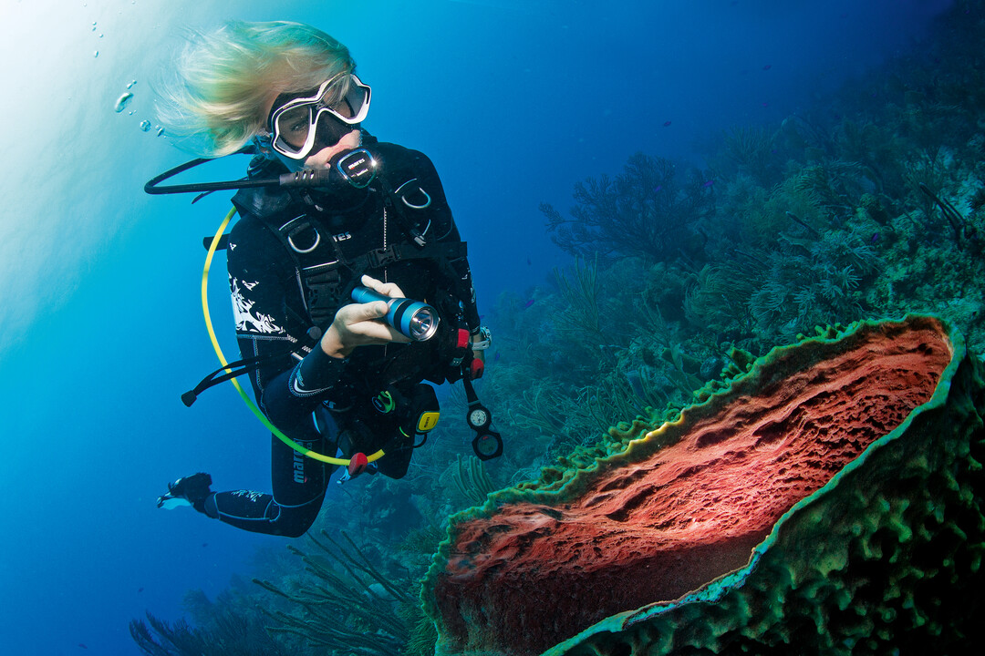 PADI Advanced Open Water Diver