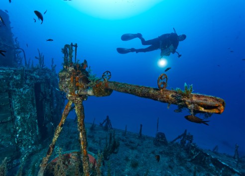 Deep Diver Specialty ( 2 Days )