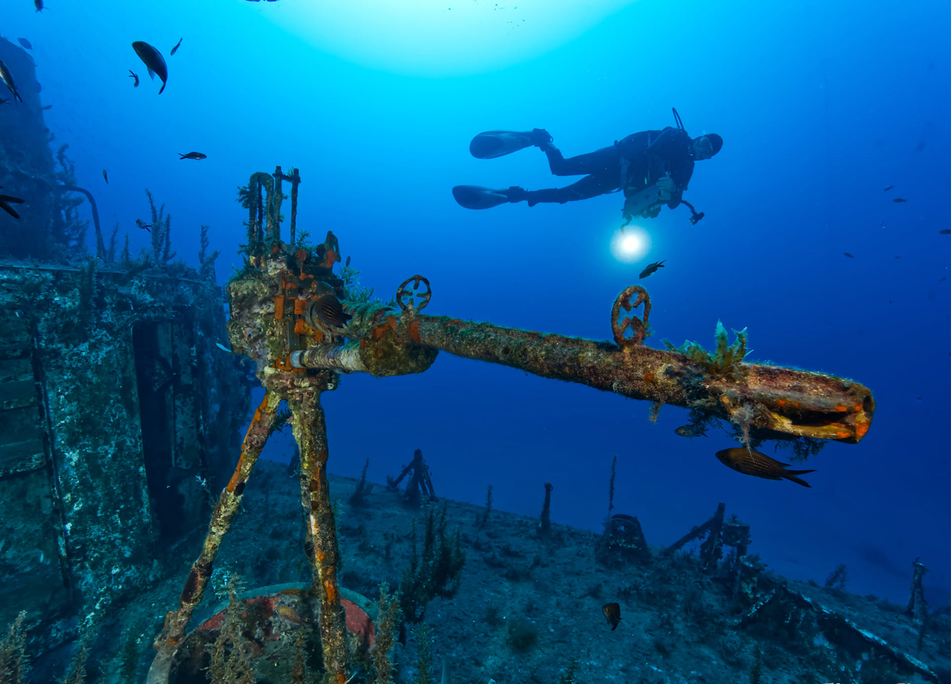 Deep Diver Specialty ( 2 Days )