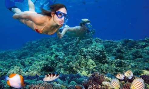 Snorkeling