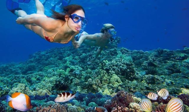 Snorkeling