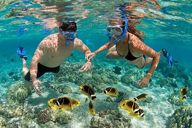 Snorkeling