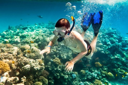 Snorkeling