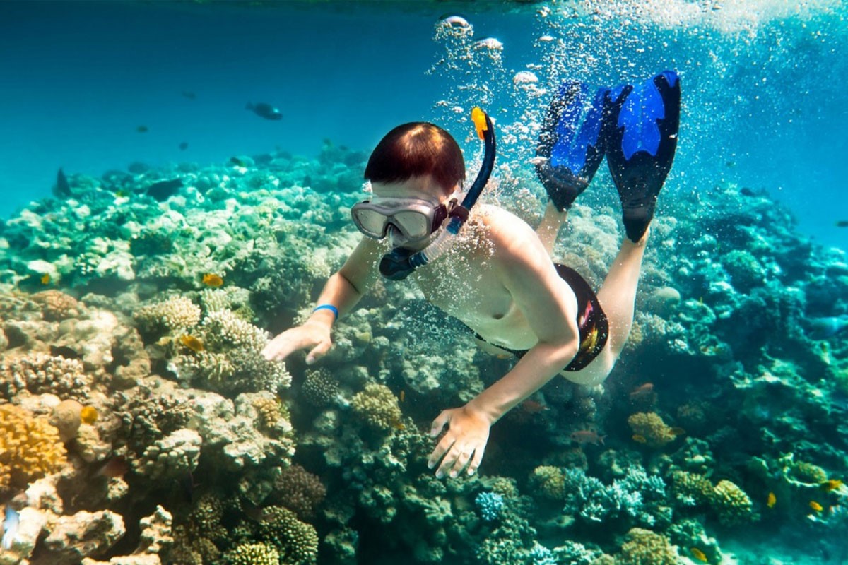 Snorkeling