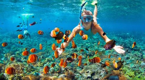 Snorkeling Course