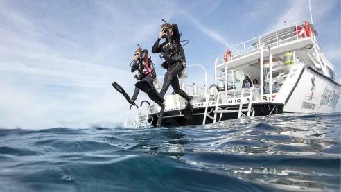 Scuba Refresher Course